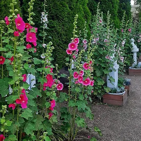 Straznica Komtura Ubytování v soukromí Mikołajki